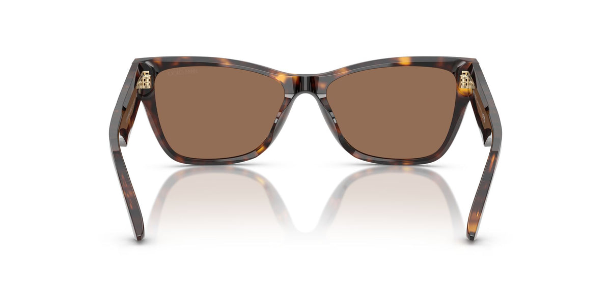 Jimmy Choo 0JC5024HU 500273 55 Havana/ Dark Brown