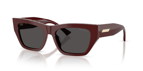 Jimmy Choo 0JC5035B 505787 54 Cranberry/ Dark Grey