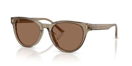 Jimmy Choo 0JC5043D 505173 53 Transparent Brown/ Dark Brown