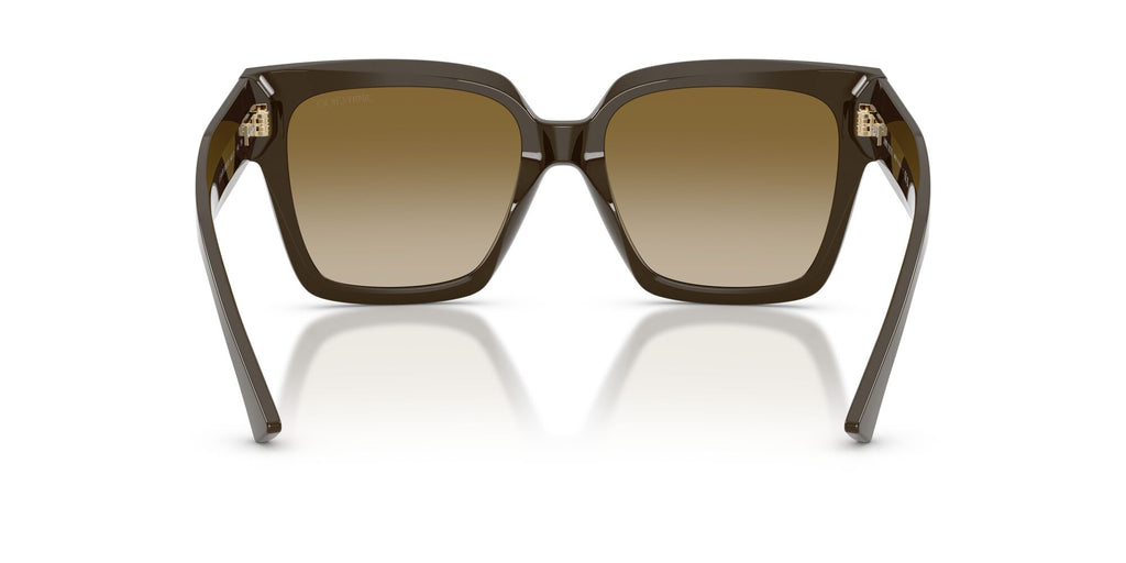 Jimmy Choo 0JC5047B 506013 54 Caper Green/ Brown Gradient