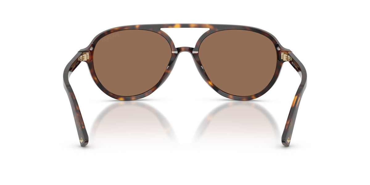 Jimmy Choo 0JC5055U 500273 55 Havana/ Dark Brown