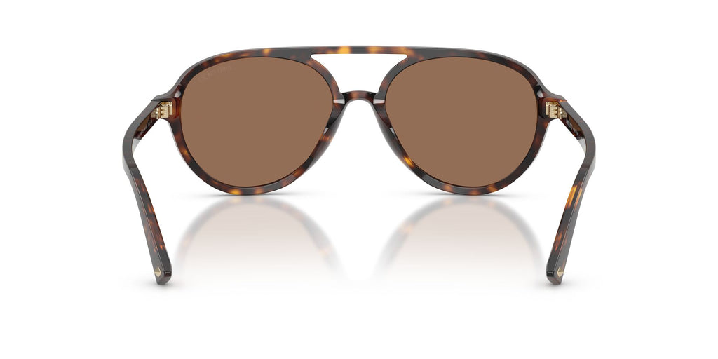 Jimmy Choo 0JC5055U 500273 55 Havana/ Dark Brown
