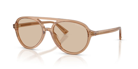 Jimmy Choo 0JC5055U 507693 55 Transparent Tan/ Brown