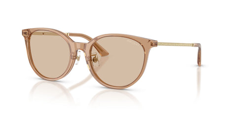 Jimmy Choo 0JC5056JD 507693 54 Transparent Tan/ Light Brown