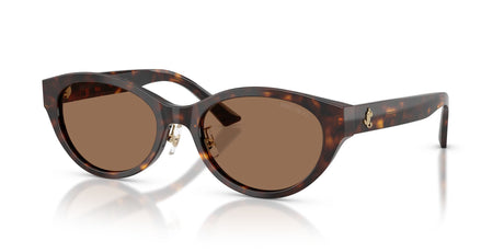 Jimmy Choo 0JC5064D50027355 Havana/ Dark Brown