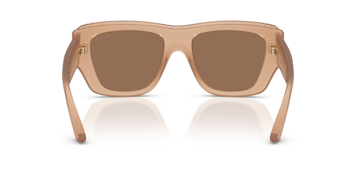Jimmy Choo 0JC6003U 509173 54 Transparent Tan/ Dark Brown