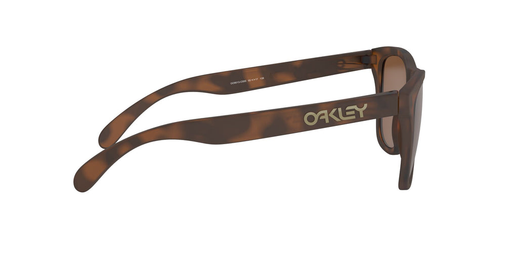 Oakley Frogskins 0OO9013 9013C5 55 Matte Tortoise / Prizm Tungsten 55 / Plastic / Plastic