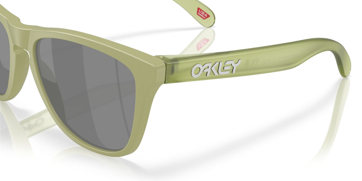 Oakley Frogskins OO9013 9013M2 55 Matte Fern / Prizm Black Polar