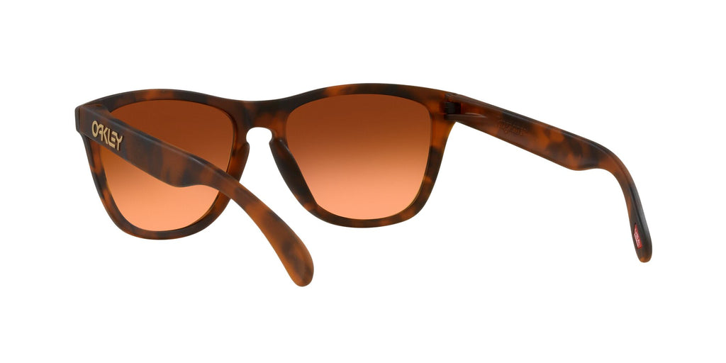 Oakley Frogskins (A) 0OO9245 9245D1 54 Matte Brown Tortoise / Prizm Brown Gradient 54 / Plastic / Plastic