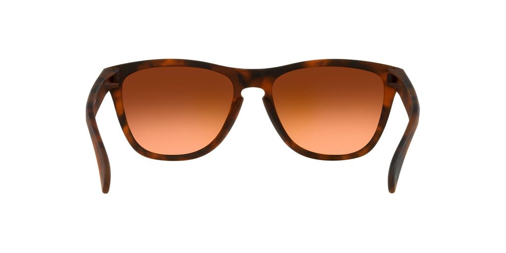 Oakley Frogskins (A) 0OO9245 9245D1 54 Matte Brown Tortoise / Prizm Brown Gradient 54 / Plastic / Plastic