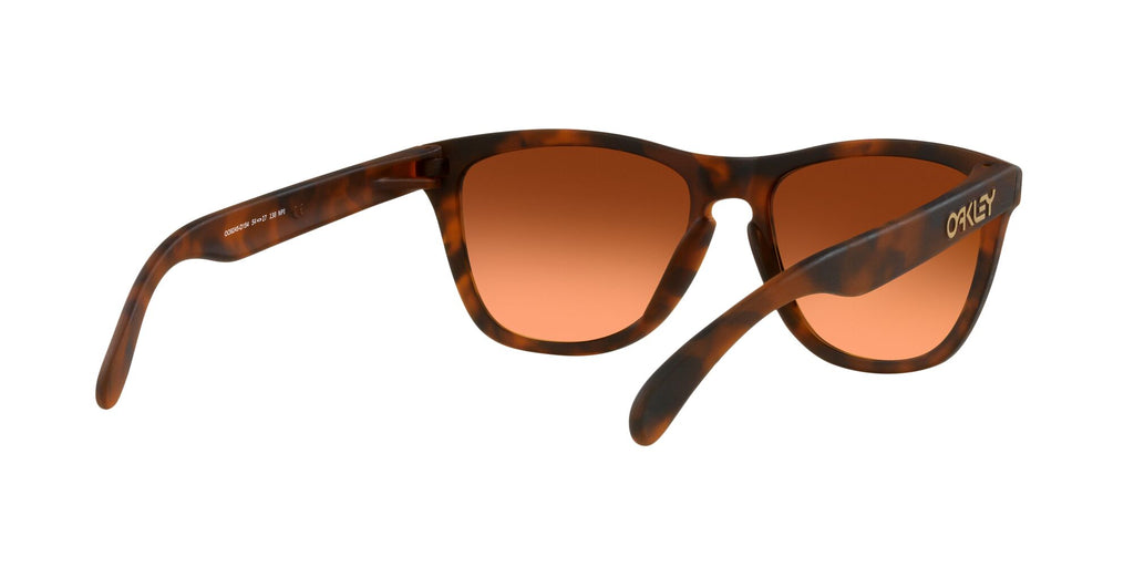 Oakley Frogskins (A) 0OO9245 9245D1 54 Matte Brown Tortoise / Prizm Brown Gradient 54 / Plastic / Plastic
