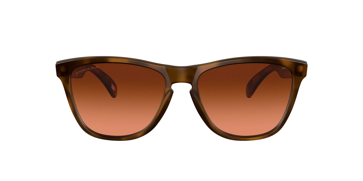 Oakley Frogskins (A) 0OO9245 9245D1 54 Matte Brown Tortoise / Prizm Brown Gradient 54 / Plastic / Plastic