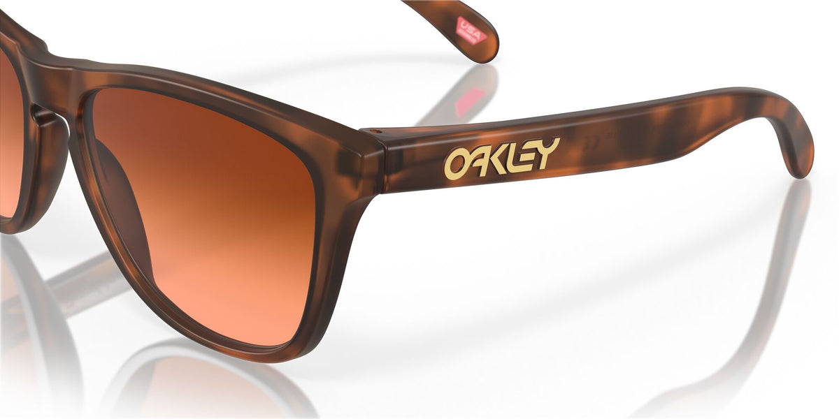 Oakley Frogskins (A) 0OO9245 9245D1 54 Matte Brown Tortoise / Prizm Brown Gradient 54 / Plastic / Plastic