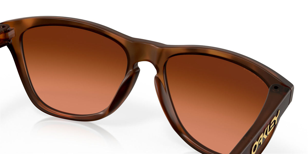 Oakley Frogskins (A) 0OO9245 9245D1 54 Matte Brown Tortoise / Prizm Brown Gradient 54 / Plastic / Plastic