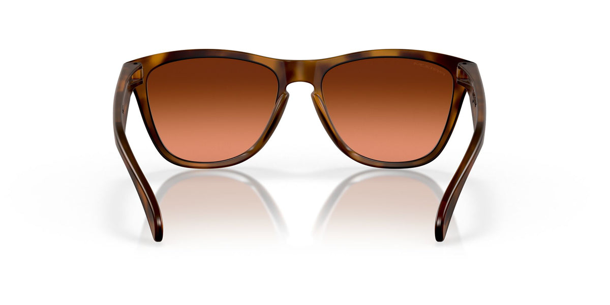 Oakley Frogskins (A) 0OO9245 9245D1 54 Matte Brown Tortoise / Prizm Brown Gradient 54 / Plastic / Plastic