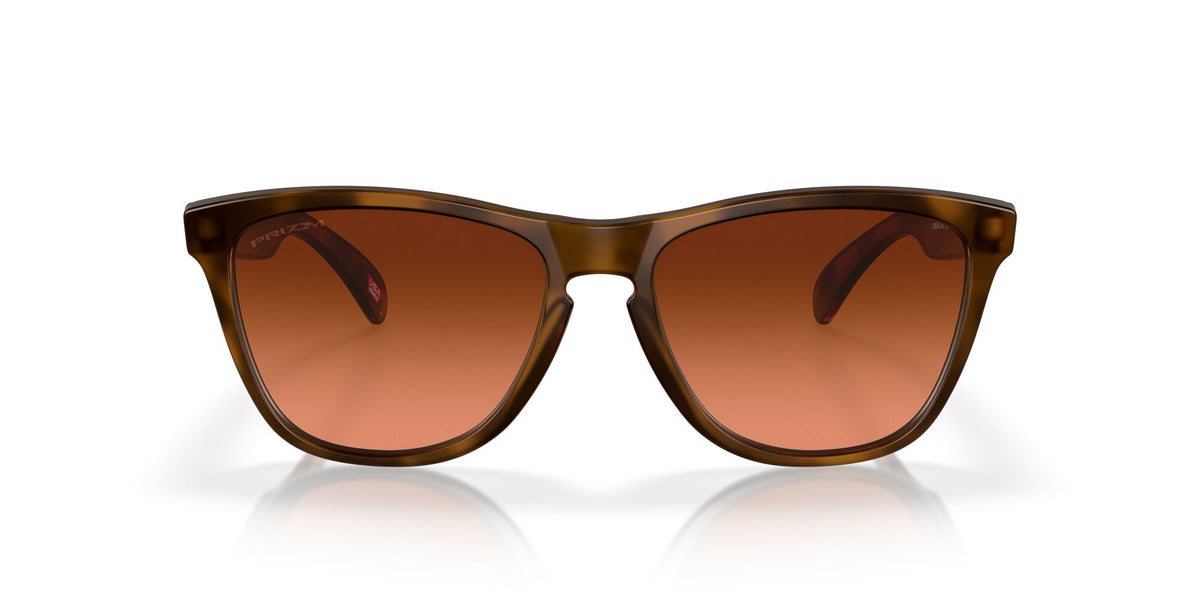 Oakley Frogskins (A) 0OO9245 9245D1 54 Matte Brown Tortoise / Prizm Brown Gradient 54 / Plastic / Plastic
