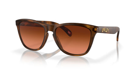 Oakley Frogskins (A) 0OO9245 9245D1 54 Matte Brown Tortoise / Prizm Brown Gradient 54 / Plastic / Plastic