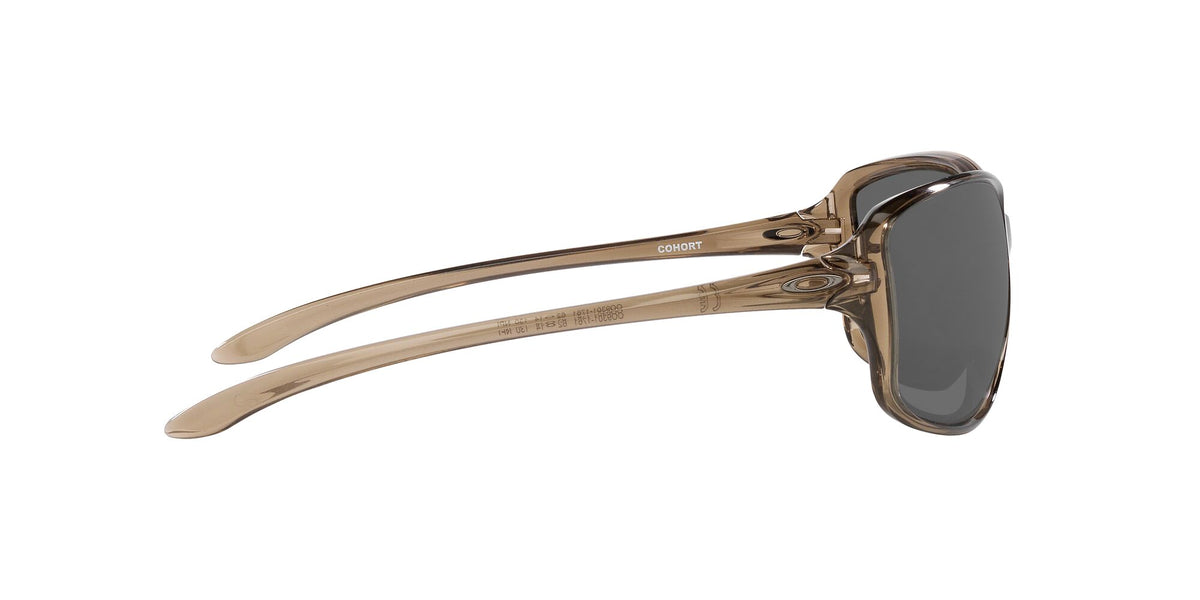 Oakley Cohort 0OO9301 930117 61 Brown Smoke / Prizm Black 61 / Polycarbonate / O_matter / Molded