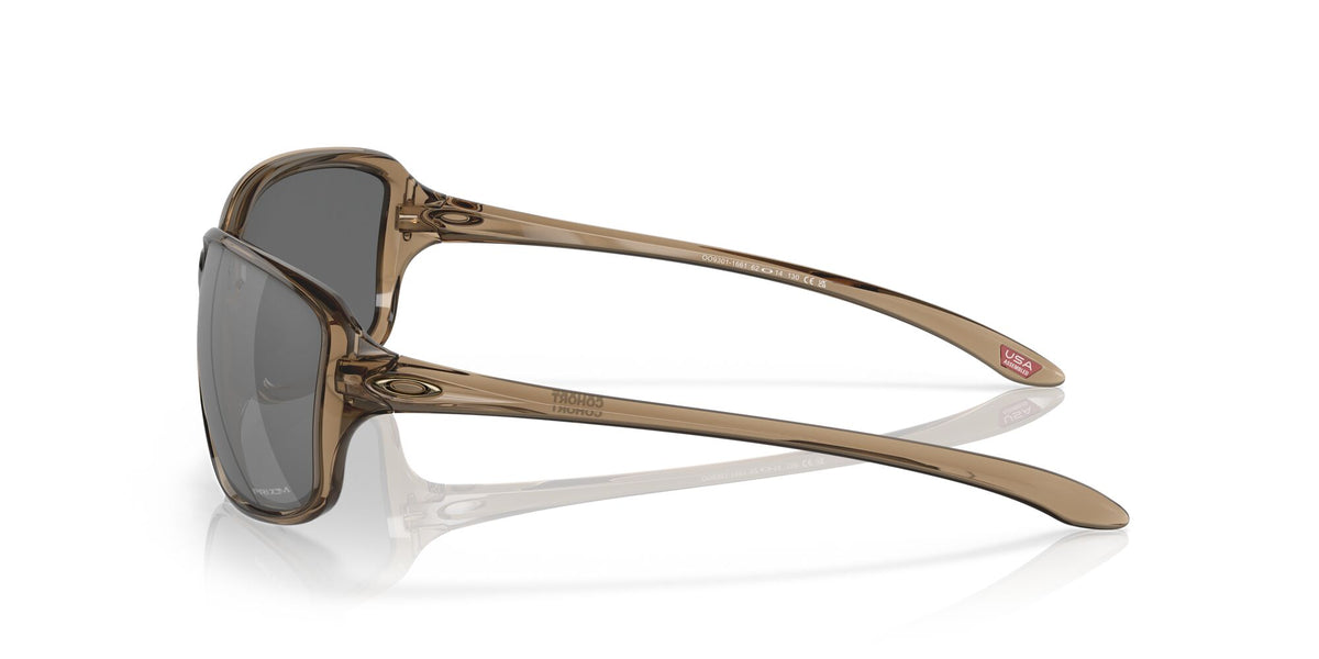 Oakley Cohort 0OO9301 930117 61 Brown Smoke / Prizm Black 61 / Polycarbonate / O_matter / Molded