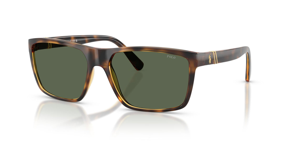Polo 0PH4133 500371 59 Shiny Transparent Dark Havana / Green 59 / Polycarbonate / Injected / Molded