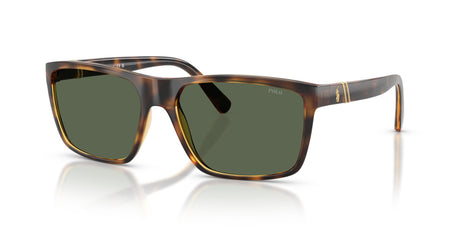 Polo 0PH4133 500371 59 Shiny Transparent Dark Havana / Green 59 / Polycarbonate / Injected / Molded