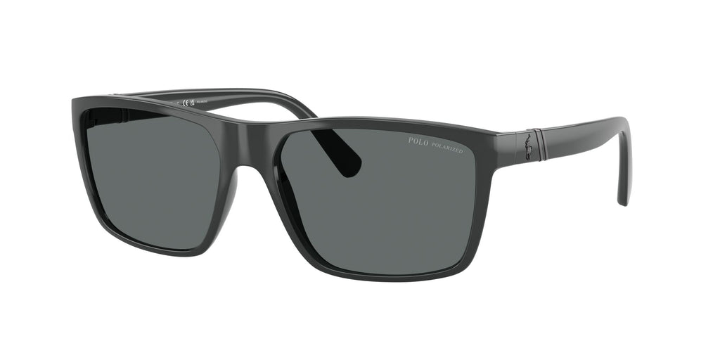 Polo 0PH4133 558981 59 Shiny Dark Grey / Polar Dark Grey  Polarised