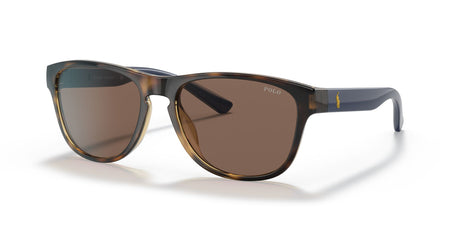 Polo 0PH4180U 500373 56 Shiny Havana / Brown