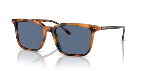 Polo 0PH4194U 608980 56 Shiny Red Havana / Blue 56 / Polyamide / Acetate / Acetate