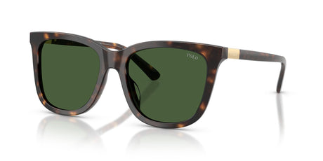 Polo 0PH4201U 500371 55 Shiny Dark Havana / Bottle Green