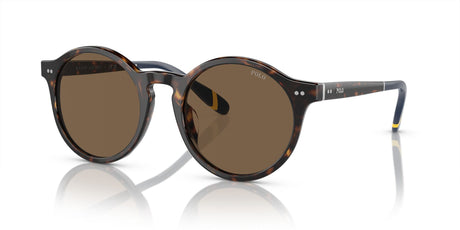 Polo 0PH4204U 500373 53 Shiny Dark Havana / Brown 53 / Polyamide Bio / Acetate / Acetate