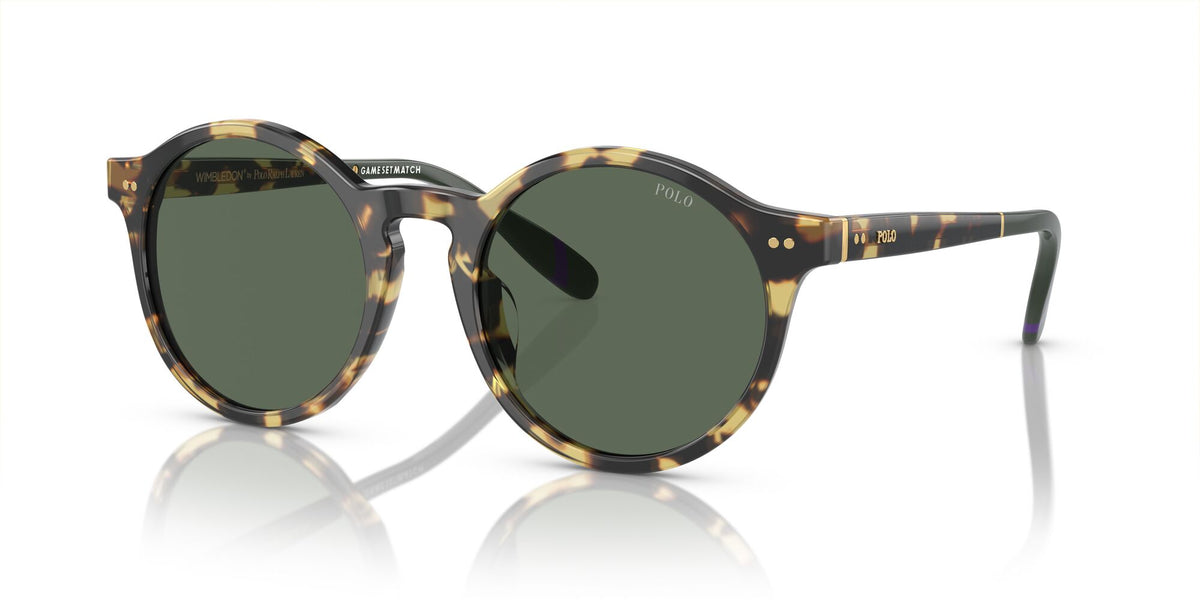 Polo 0PH4204U 500471 50 Shiny Tortoise Brown / Dark Green