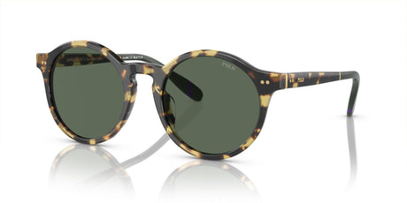 Polo 0PH4204U 500471 50 Shiny Tortoise Brown / Dark Green
