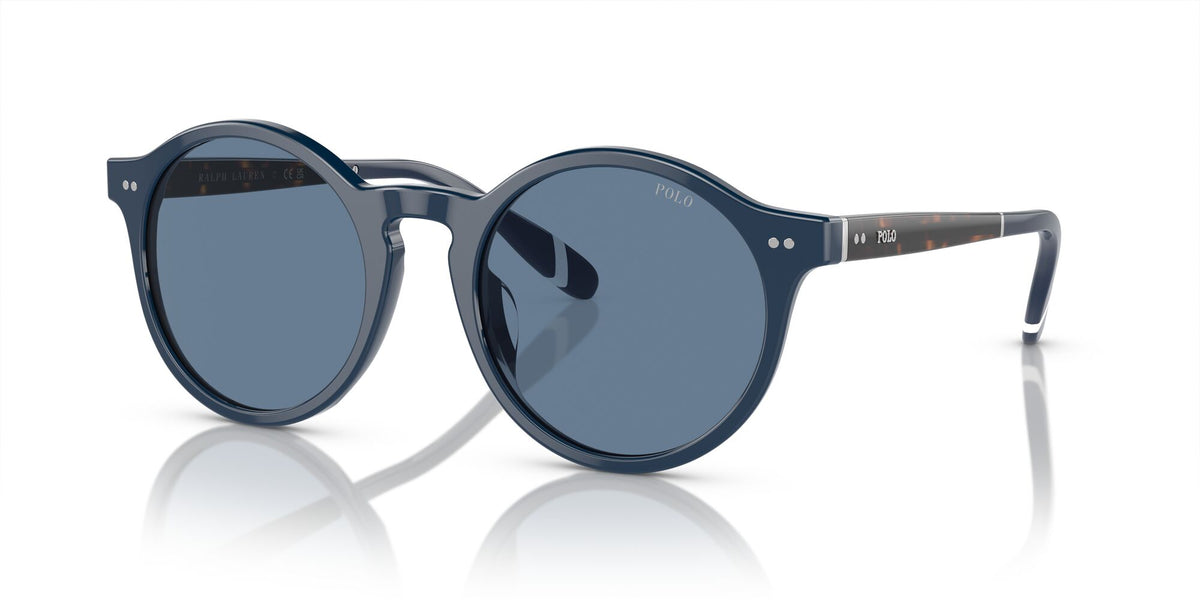 Polo 0PH4204U 546580 53 Shiny Navy Blue / Blue 53 / Polyamide Bio / Acetate / Acetate