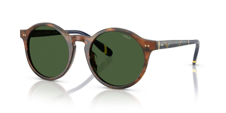 Polo 0PH4204U 562571 53 Shiny Brown Tortoise / Bottle Green