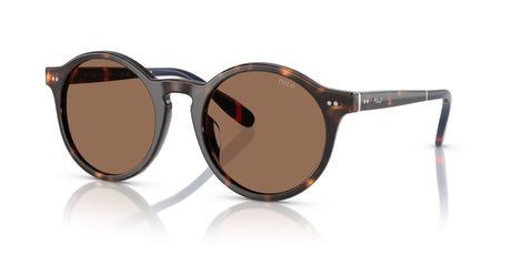 Polo 0PH4204U 567373 53 Shiny Dark Havana / Dark Brown