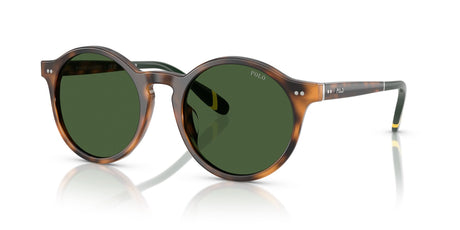 Polo 0PH4204U 608971 53 Shiny Red Havana / Bottle Green