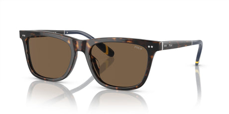 Polo 0PH4205U 500373 56 Shiny Dark Havana / Brown 56 / Polyamide Bio / Acetate / Acetate