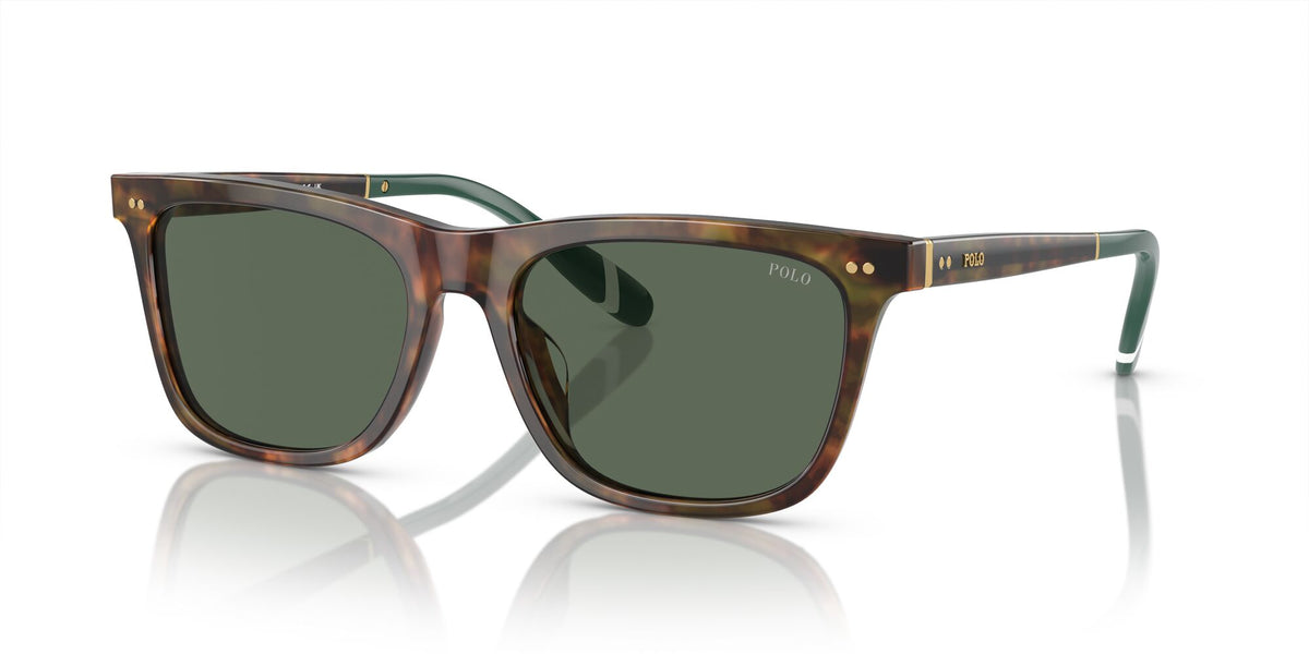 Polo 0PH4205U 501771 56 Shiny Brown Tortoise / Bottle Green 56 / Polyamide Bio / Acetate / Acetate