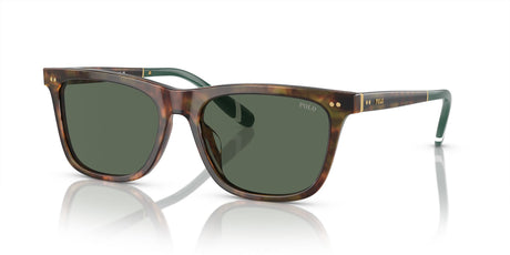 Polo 0PH4205U 501771 56 Shiny Brown Tortoise / Bottle Green 56 / Polyamide Bio / Acetate / Acetate