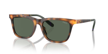 Polo 0PH4205U 608971 56 Shiny Red Havana / Dark Green