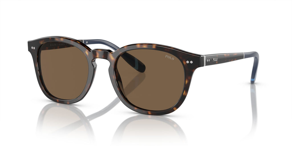 Polo 0PH4206 500373 52 Shiny Dark Havana / Brown 52 / Polyamide Bio / Acetate / Acetate