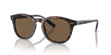 Polo 0PH4206 500373 52 Shiny Dark Havana / Brown 52 / Polyamide Bio / Acetate / Acetate