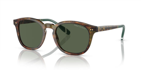 Polo 0PH4206 50179A 52 Shiny Brown Tortoise / Bottle Green Polarized  Polarised 52 / Polycarbonate / Acetate / Acetate