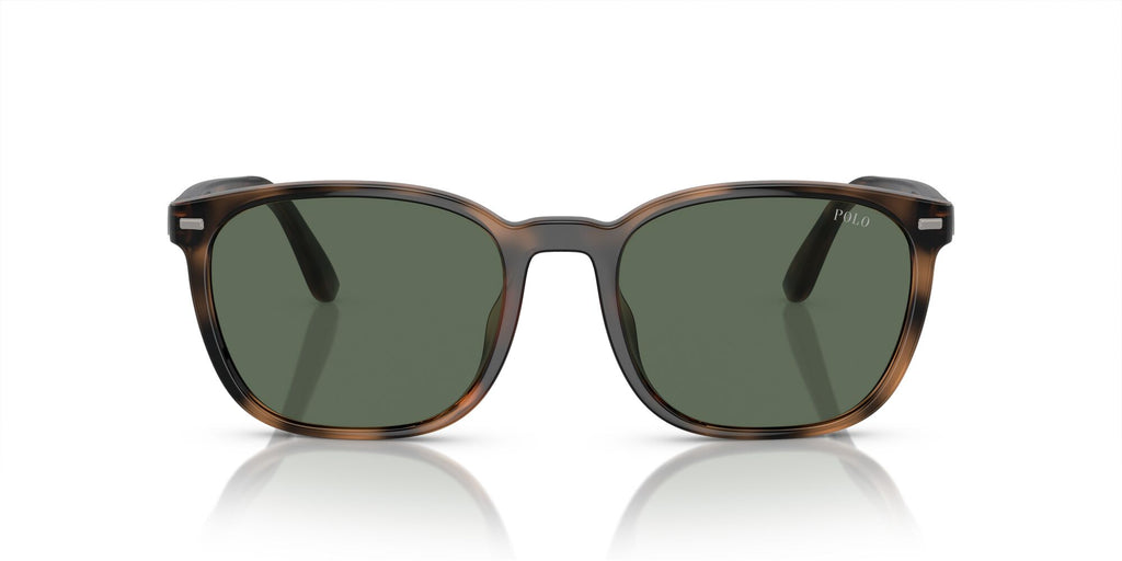 Polo 0PH4208U 597471 55 Shiny Havana / Bottle Green 55 / Polyamide Bio / Propionate / Propionate