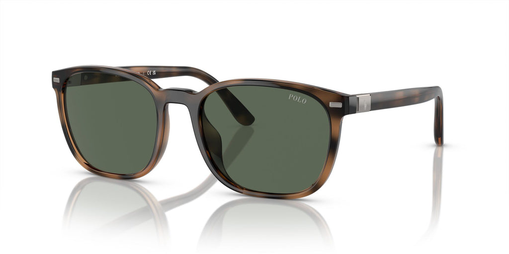 Polo 0PH4208U 597471 55 Shiny Havana / Bottle Green 55 / Polyamide Bio / Propionate / Propionate