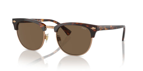 Polo 0PH4217 613773 53 Shiny Brown Tortoise / Brown
