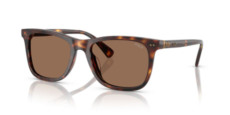 Polo 0PH4220F 613773 55 Shiny Brown Tortoise / Dark Brown