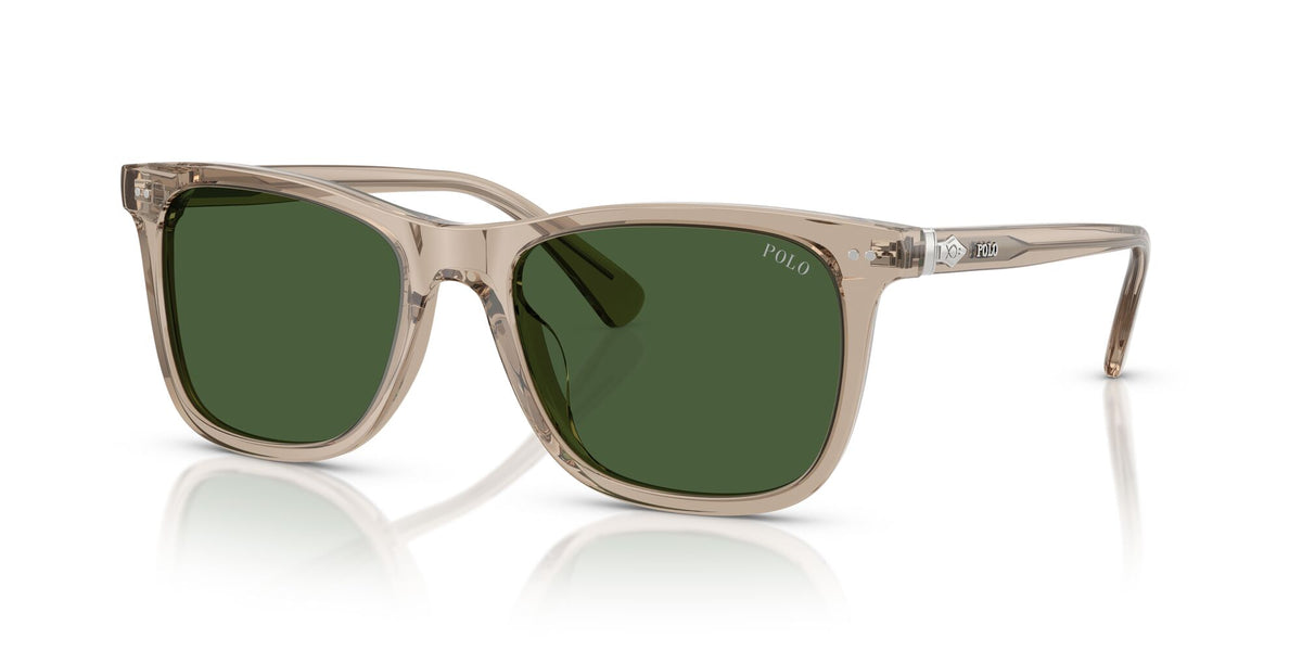 Polo 0PH4220U 620171 55 Shiny Transparent Dark Taupe / Bottle Green