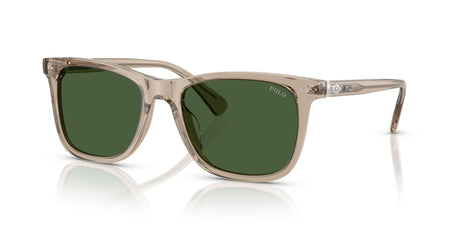 Polo 0PH4220U 620171 55 Shiny Transparent Dark Taupe / Bottle Green