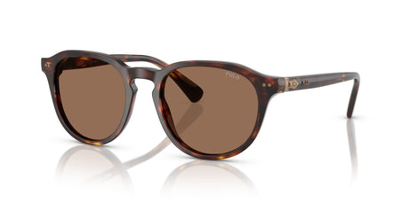 Polo 0PH4221 613773 52 Shiny Brown Tortoise / Dark Brown